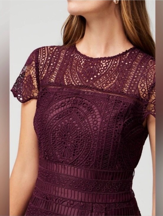 White House Black Market Dresses & Skirts - White House Black Market Embroidered Lace Fit-and-Flare in Cabernet